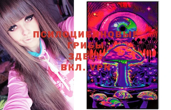 крисы Алексеевка